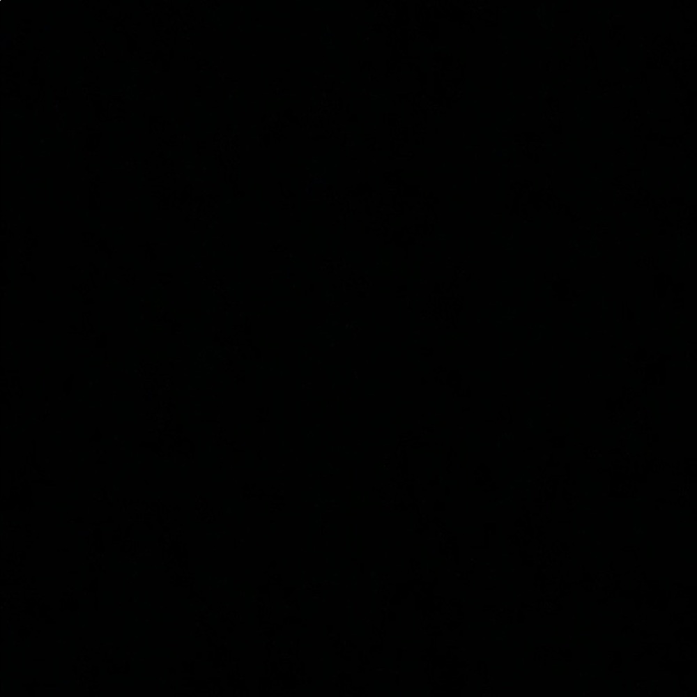 Meet your Posher, Shaelin